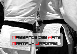 Naissance des arts martiaux japonais