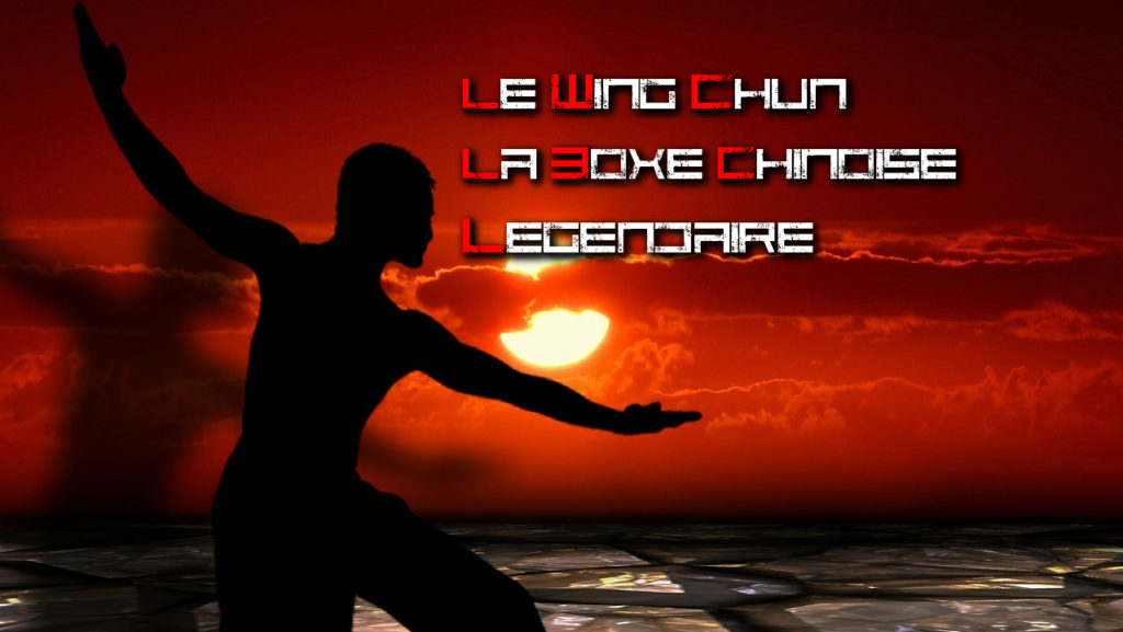 Le Wing Chun La Boxe Chinoise Legendaire