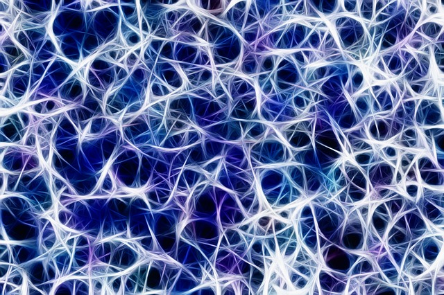 Connexions nerveuses