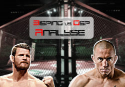 Bisping vs GSP Analyse