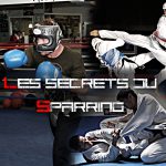 Apprendre à se battre - les secrets du sparring