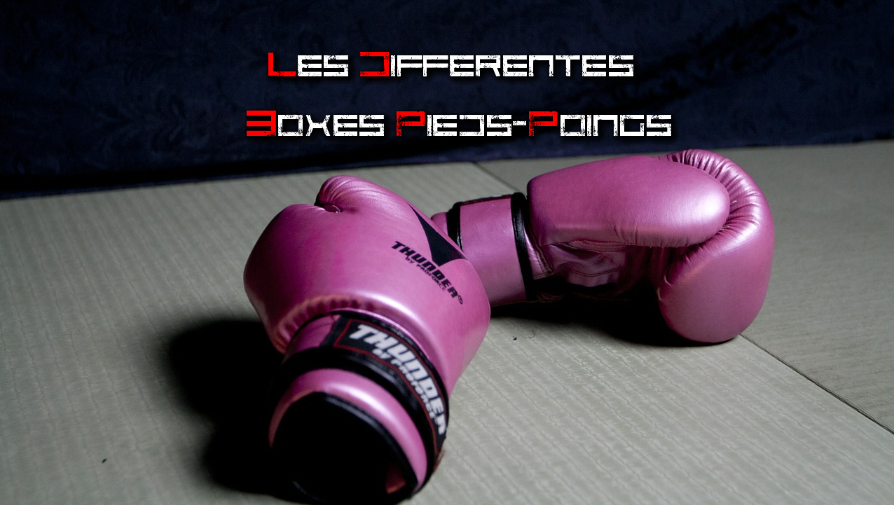 Les Differentes Boxes Pieds Poings Mmartial Les Differentes Boxes Pieds Poings Mmartial