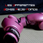 Les Differentes Boxes Pieds-Poings