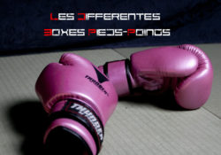 Les Differentes Boxes Pieds-Poings