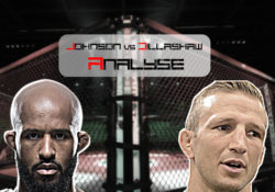 Johnson vs Dillashaw Analyse