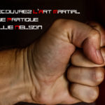 Decouvrez l'art martial que pratique Willie Nelson