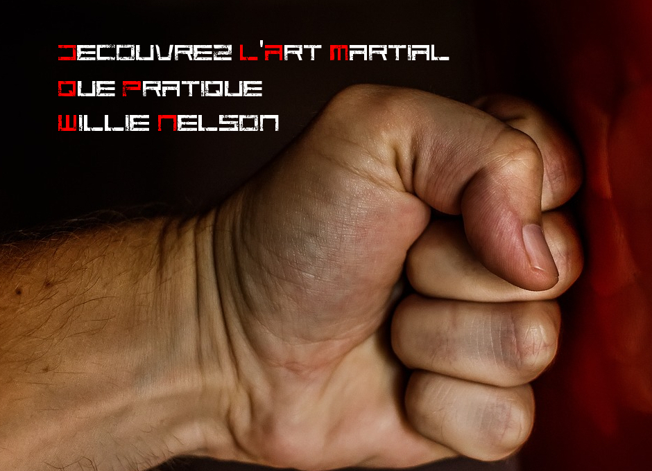 Découvrez l'Art Martial Qu'a Pratiqué Willie Nelson MMArtial