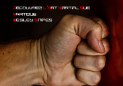 Decouvrez l'art martial que pratique Wesley Snipes