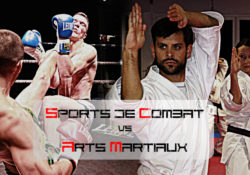 Arts martiaux vs sports de combat