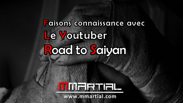 Faisons connaissance avec Road To Saiyan