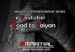 Faisons connaissance avec Road To Saiyan