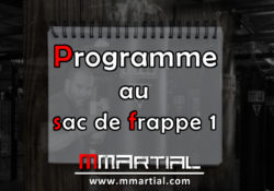 Programme au sac de frappe 1