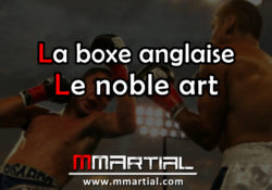 La boxe anglaise - Le noble art