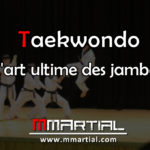 Taekwondo L'art ultime des jambes
