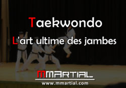Taekwondo L'art ultime des jambes