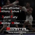 Wilder vs Fury : Qui va affronter Anthony Joshua ?