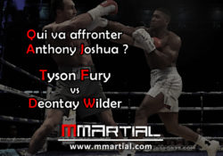 Wilder vs Fury : Qui va affronter Anthony Joshua ?
