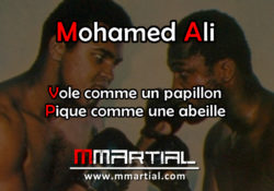 Mohamed Ali Vole comme un papillon pique comme une abeille