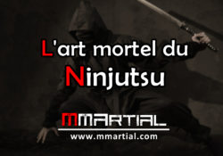 L'art mortel du ninjutsu
