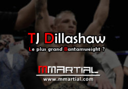 TJ Dillashaw : le plus grand Bantamweight ?
