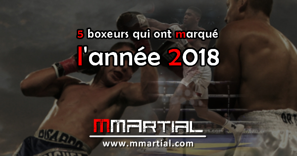 5 boxeurs qui ont marqué l'année 2018