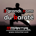 3 grands noms du karaté