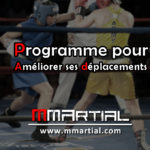 Programme pour améliorer ses déplacements en combat