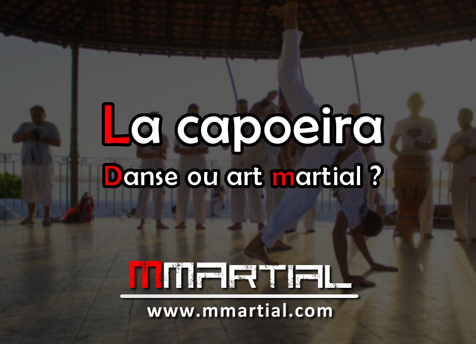 Débardeur Capoeira - Art Martial Brésilien - Motif Culturel - Cadeau Pour Pratiquant Ou Fan