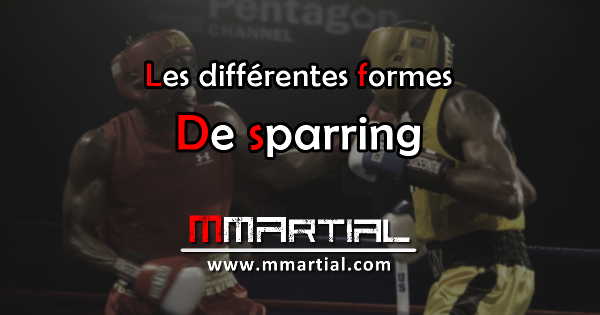 Les différentes formes de sparring afin de progresser en combat