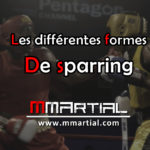 Les différentes formes de sparring afin de progresser en combat