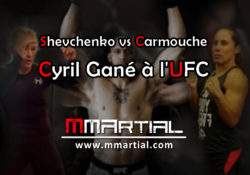 Shevchenko vs Carmouche et Cyril Gané à l'UFC