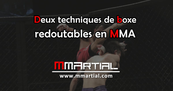 Deux techniques de boxe redoutables en MMA