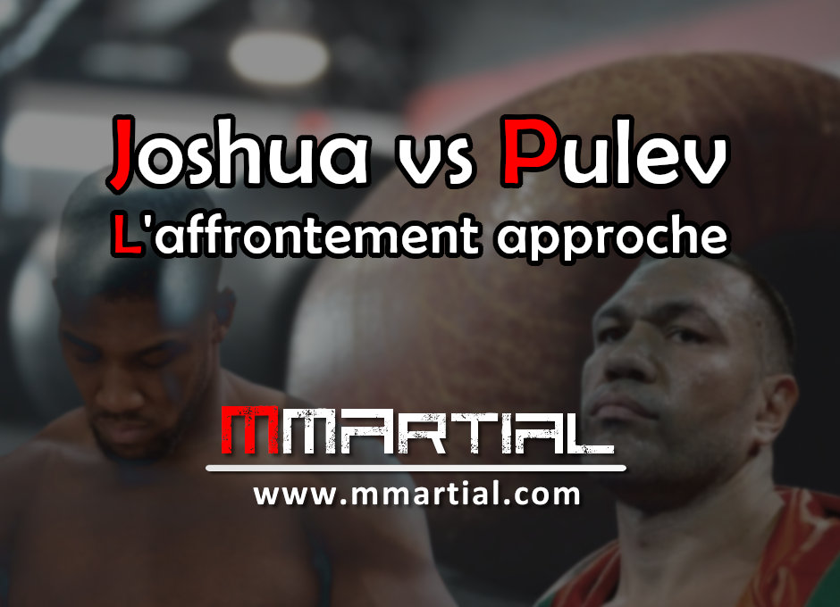 Mondiaux de boxe : l'affrontement Joshua - Pulev approche !