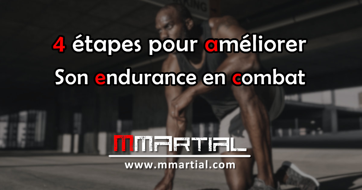 Entrainement Combiné De La Force Et De L'endurance Aérobie : Connaissances, Gestions Et Optimisations Des Entrainements