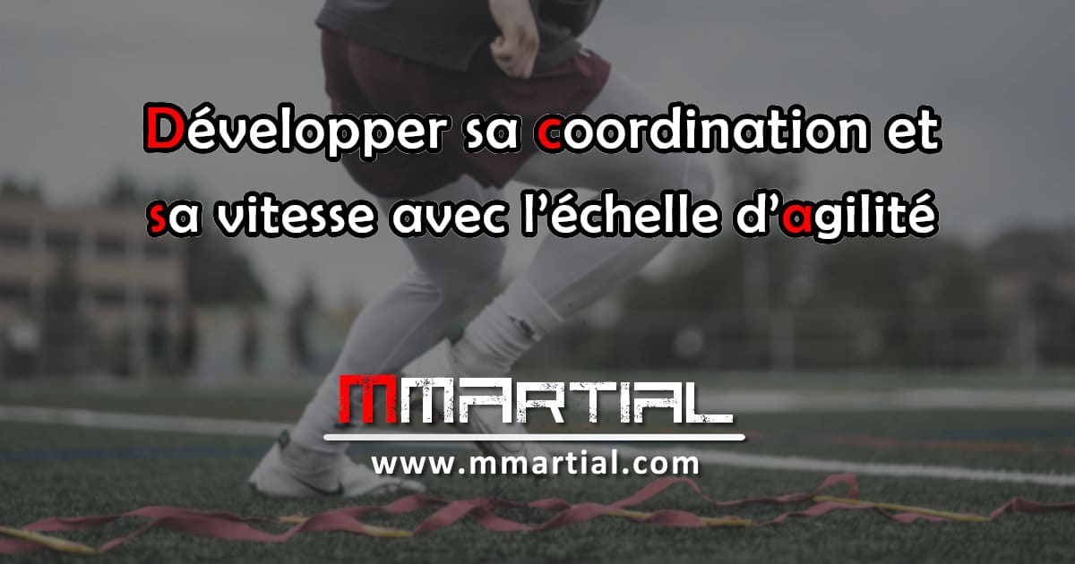 MSPORTS Échelle De Coordination Professionnelle Multifonctionnelle, 6 éléments Hexagonaux Comme échelle D'agilité Et Obstacles Combinables